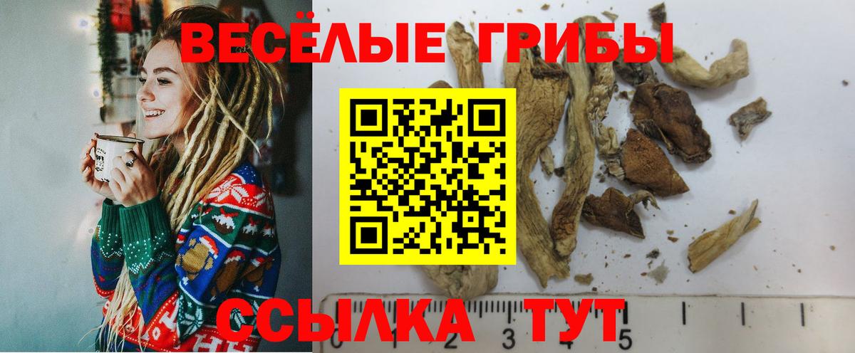 Псилоцибиновые грибы мицелий  Вход с VPN  наркошоп  Мирный 